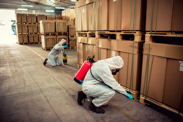 Best Commercial Pest Control Services  in Randolph Af, TX