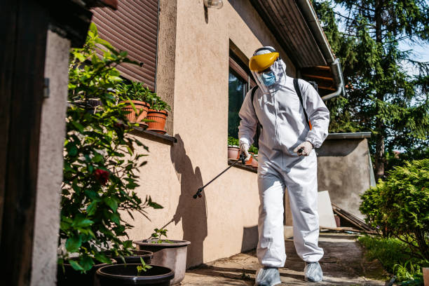 Best Wildlife Control Services  in Randolph Af, TX