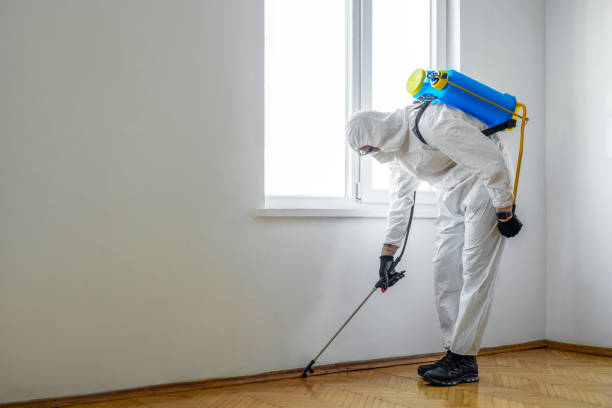 Best Affordable Pest Control Services  in Randolph Af, TX