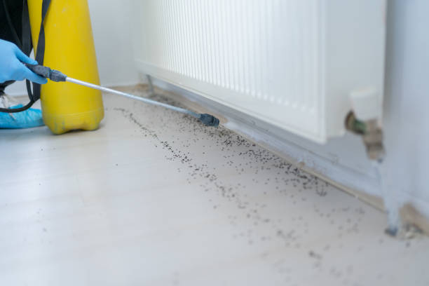 Best Pest Inspection Near Me  in Randolph Af, TX